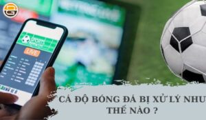 cá độ bị sử lý như thế nào