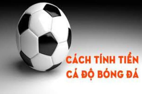 cach-tinh-tien-ca-do-bong-da-1